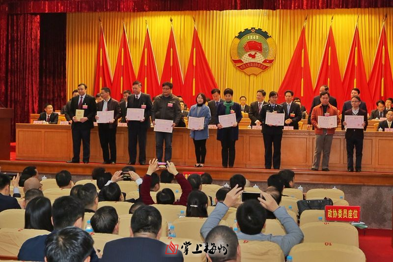 承办提案先进个人获表彰